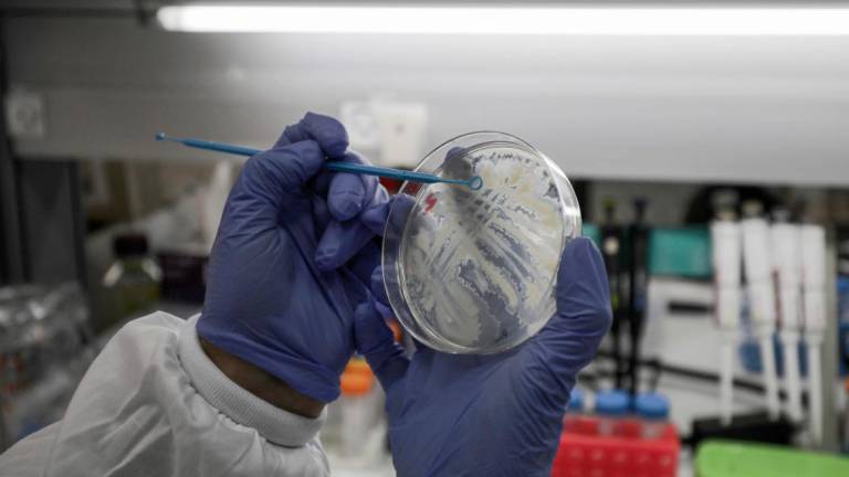 Anticorpo investigado em laboratório Israelita