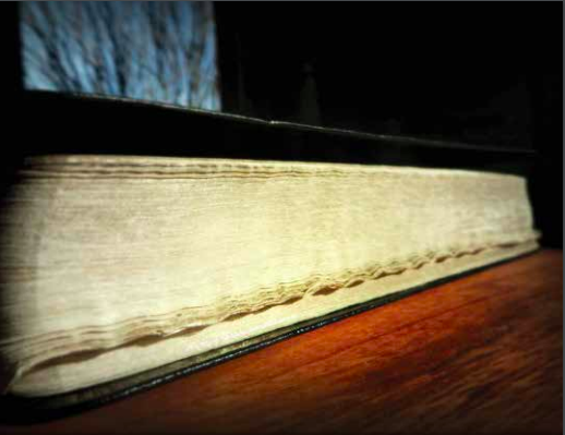 Biblia Paul Sadler