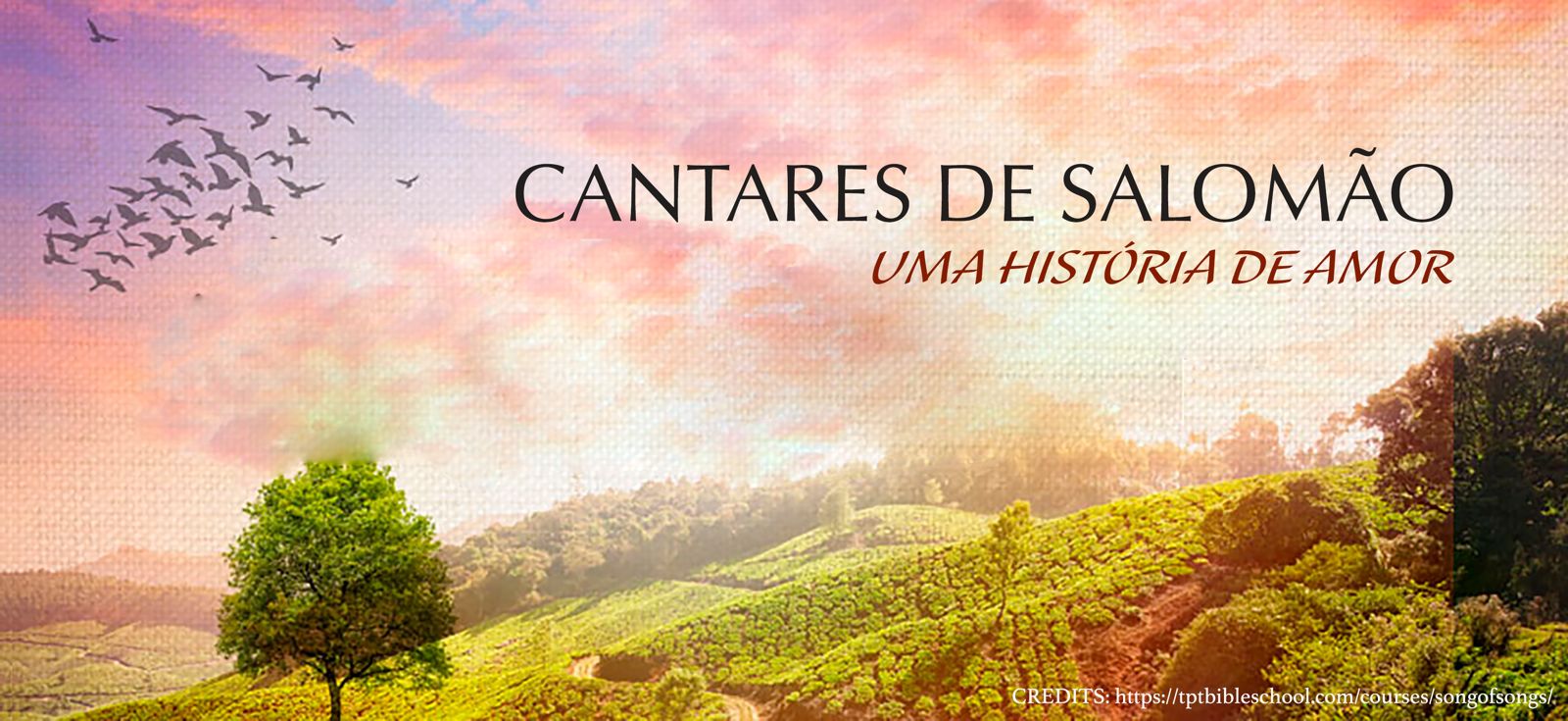 Cantares de Salomão