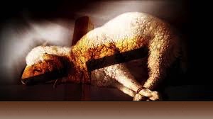 Cordeiro de Deus Cristo1