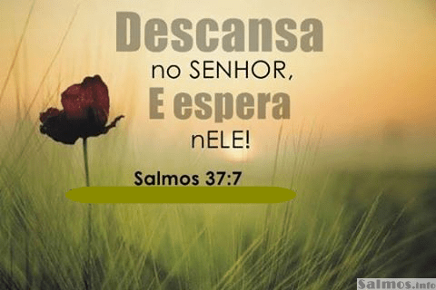 Confia no Senhor totalmente e descansa