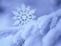 Flocos de neve
