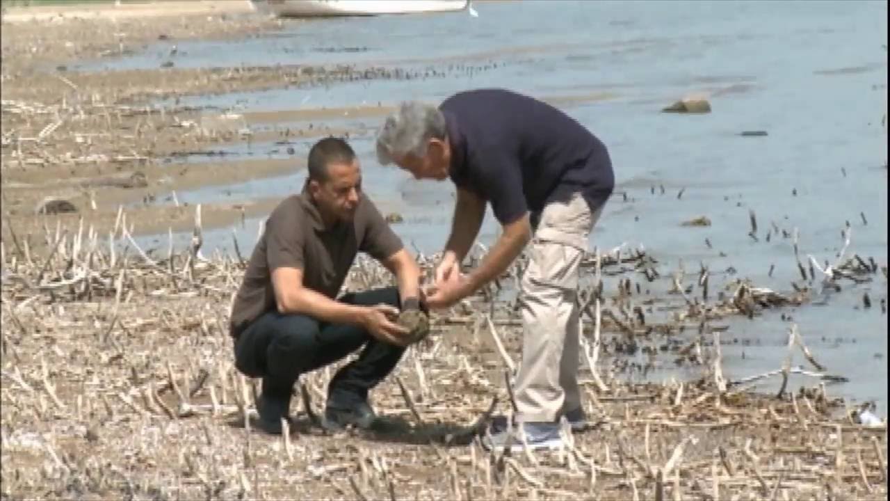 Mar Galileia1