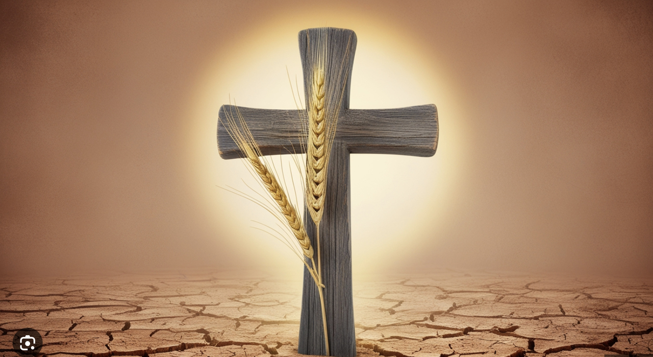 O fruto da morte de Cristo