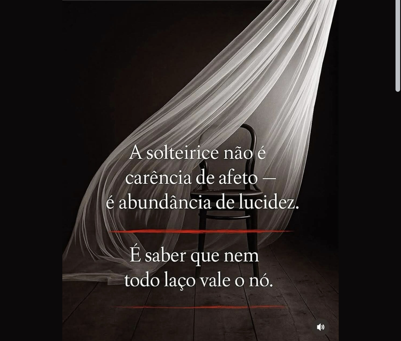 Solteirice2