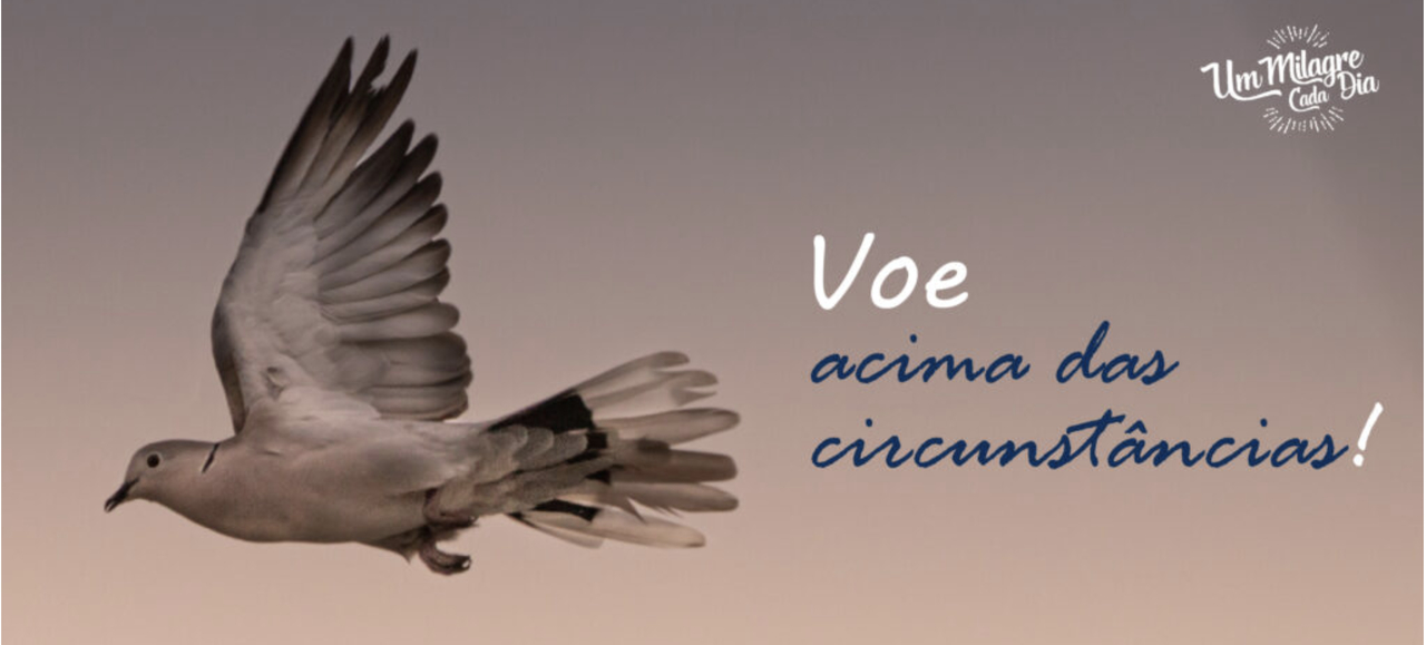 Viver acima das circunstâncias