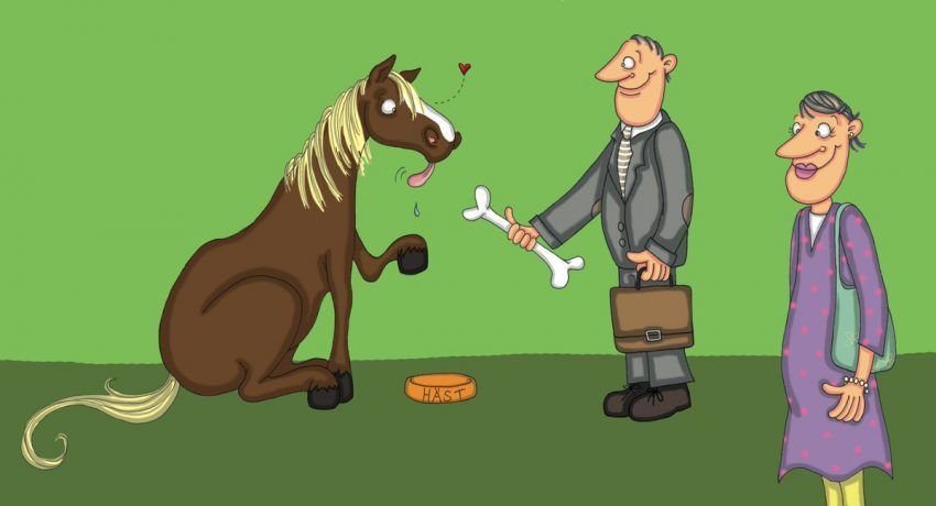 cavalo quer ser cachorro hasten husse