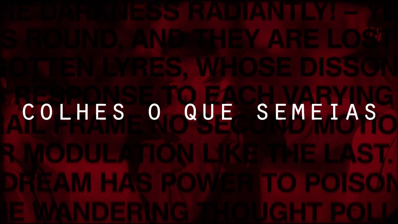 colhesoquesemeias