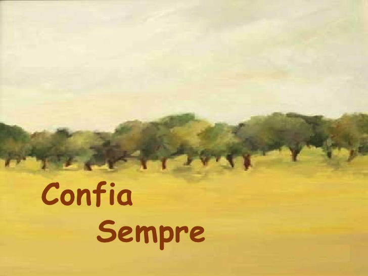 Confia no Senhor todos os dias