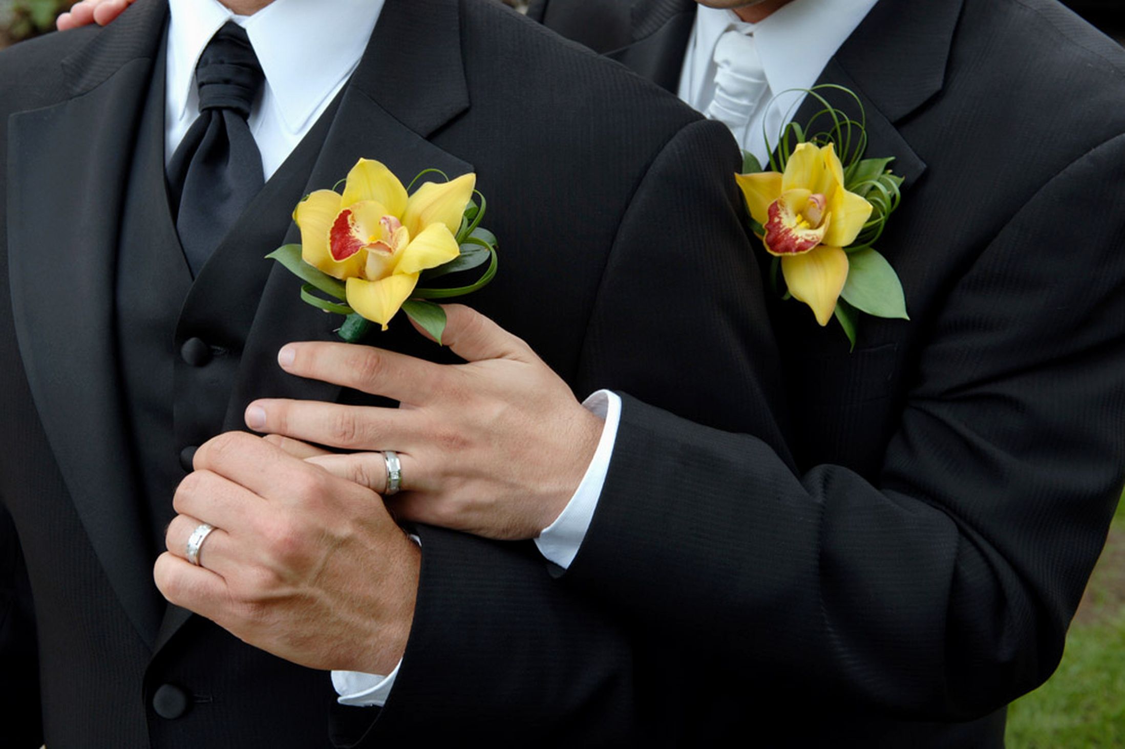 gay wedding rings