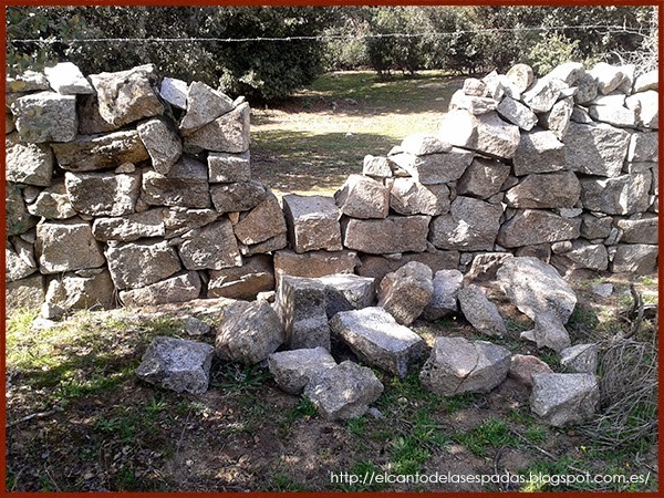 muro caído