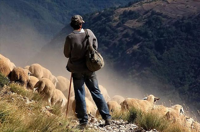 Pastores "segundo o ... coração" do Senhor é sempre a necessidade constante. pastor 5c31d69b