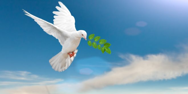 Só em Cristo há verdadeira paz. Já creste n'Ele como teu Salvador?