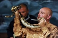 Pregador morre ao pegar em serpente venenosa