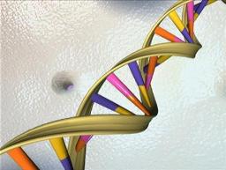 Cadeia do composto Ácido Desoxirribonucleico, mais conhecido como DNA.