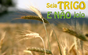 Seja Seja