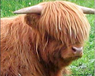 cabelo-olhos.jpg