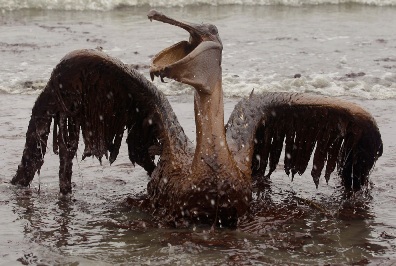 catastrofe_ambiental_eua_bp.jpg