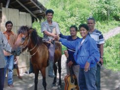 cavalo_para_evangelizar.jpg