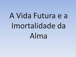 vidaeimortalidade