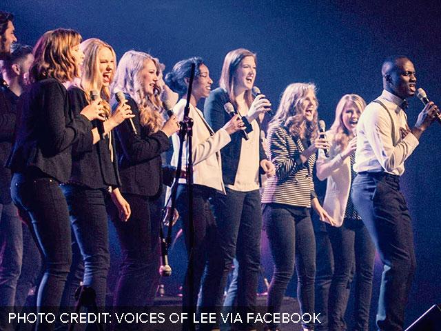 voicesofleefacebook si